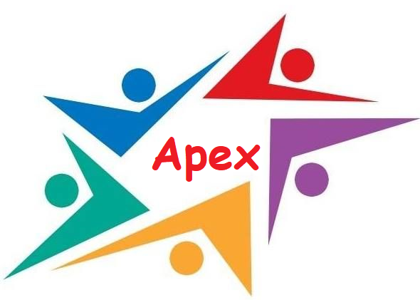  APEX logo